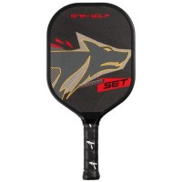 Ensemble de pickleball Pala Grey Wolf Attk
